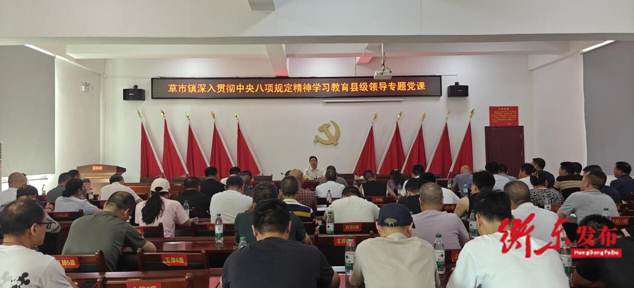县领导赴草市镇开展党课宣讲并调研指导软弱涣散村党组织整顿工作