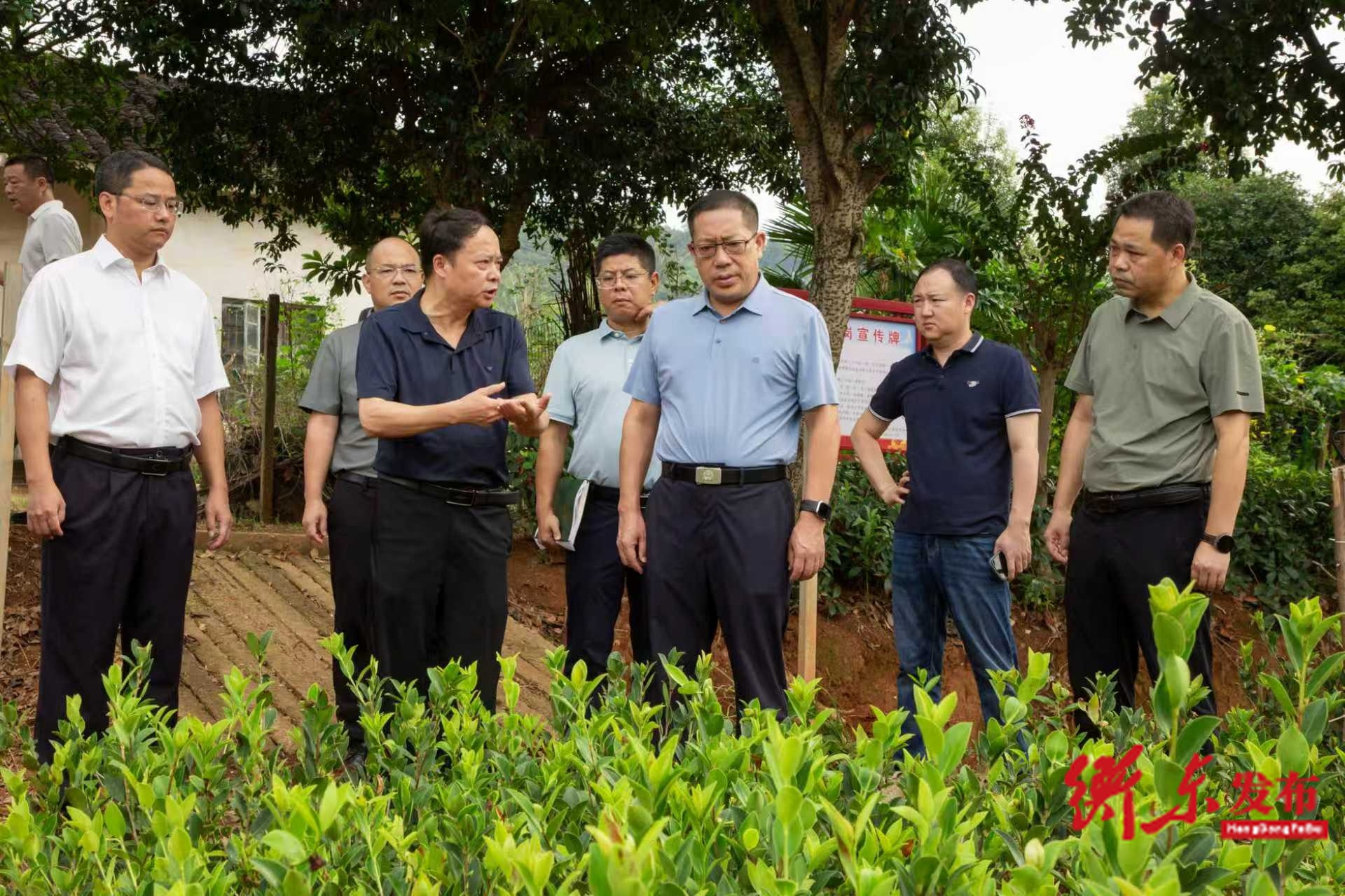 蒋崇华调研油茶产业发展并开展巡林