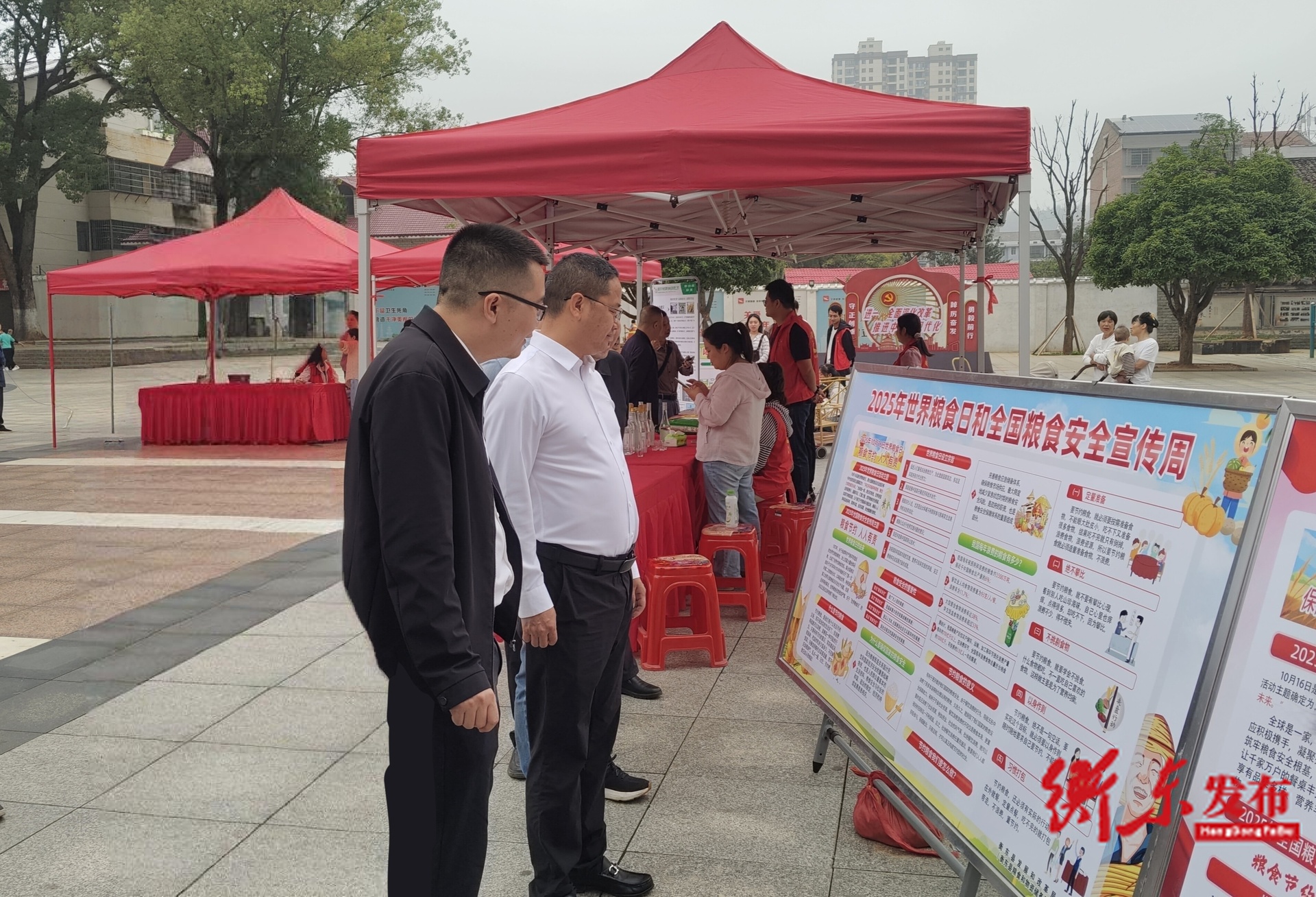 世界粮食日和全国粮食安全宣传周——粮食节约，人人有责