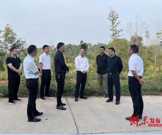 衡阳市副市长赴衡东县调研国土绿化试点项目及巡林工作
