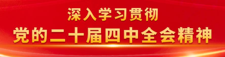 【专栏】深入学习贯彻党的二十届四中全会精神