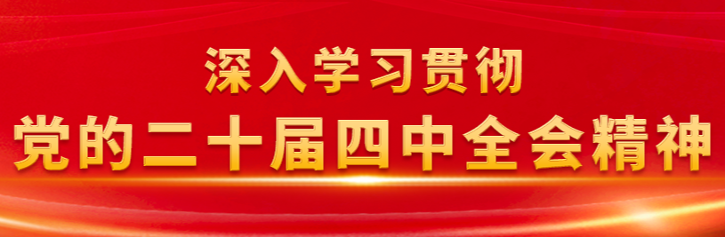 【专栏】深入学习贯彻党的二十届四中全会精神
