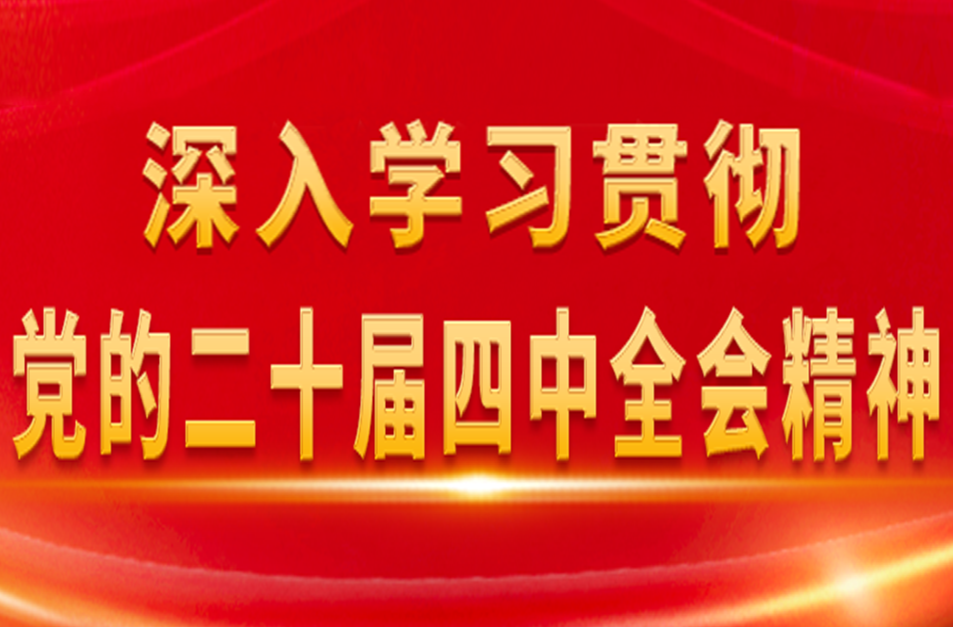 【专栏】深入学习贯彻党的二十届四中全会精神