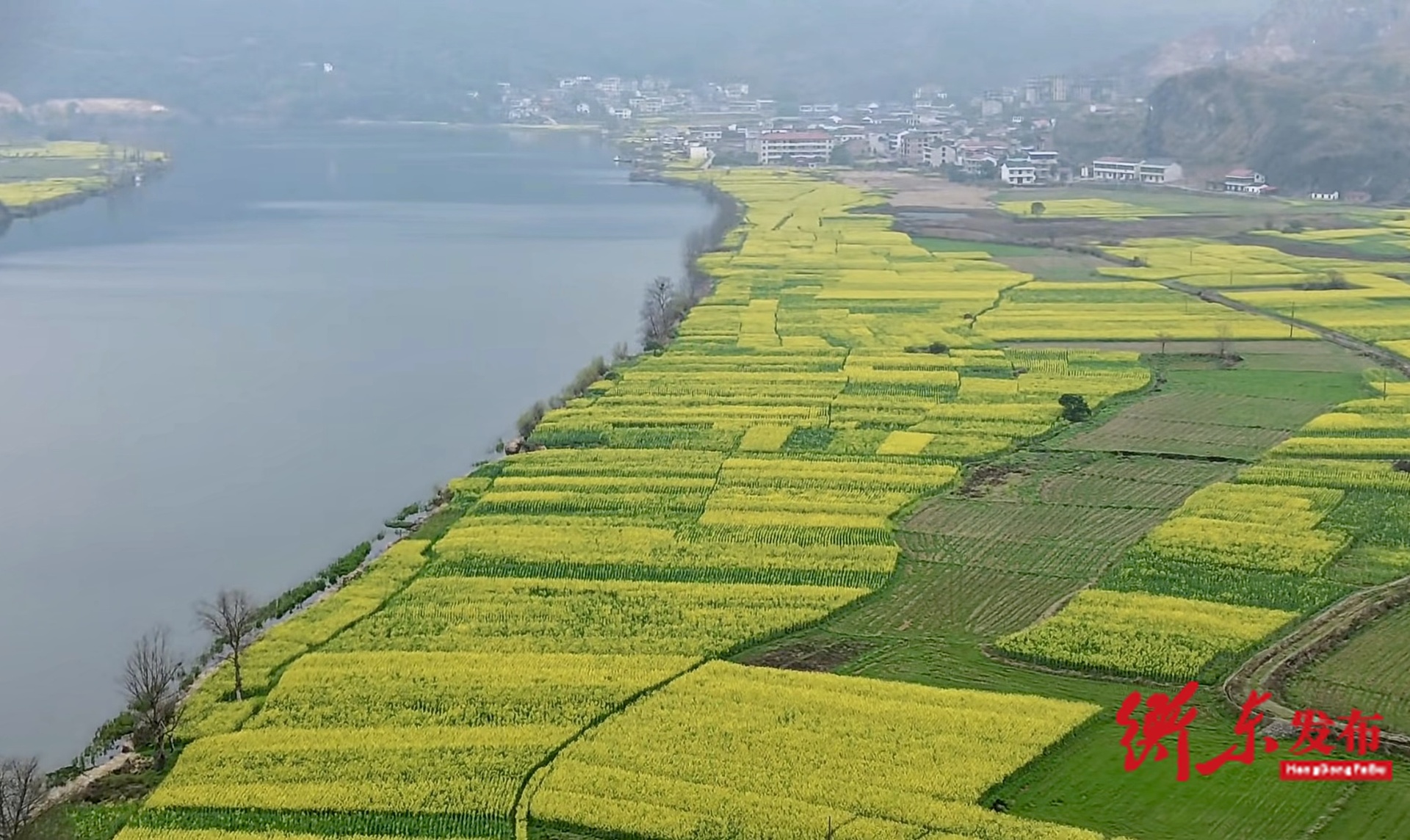 金色花海醉春风 衡东油菜花开迎客来
