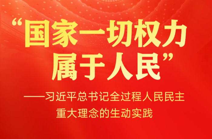 习近平总书记全过程人民民主重大理念的生动实践