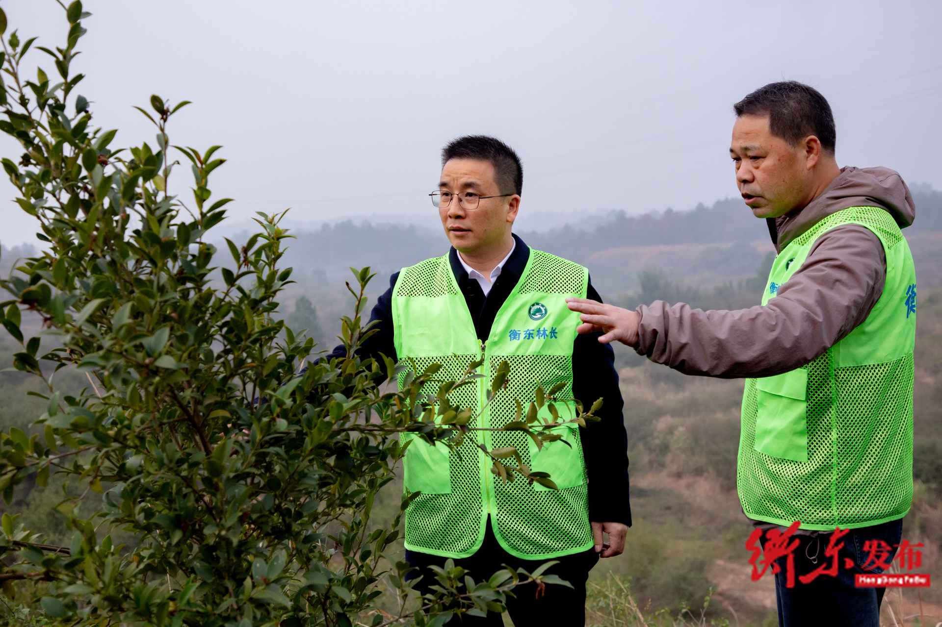 袁立赴高湖镇、杨林镇调研