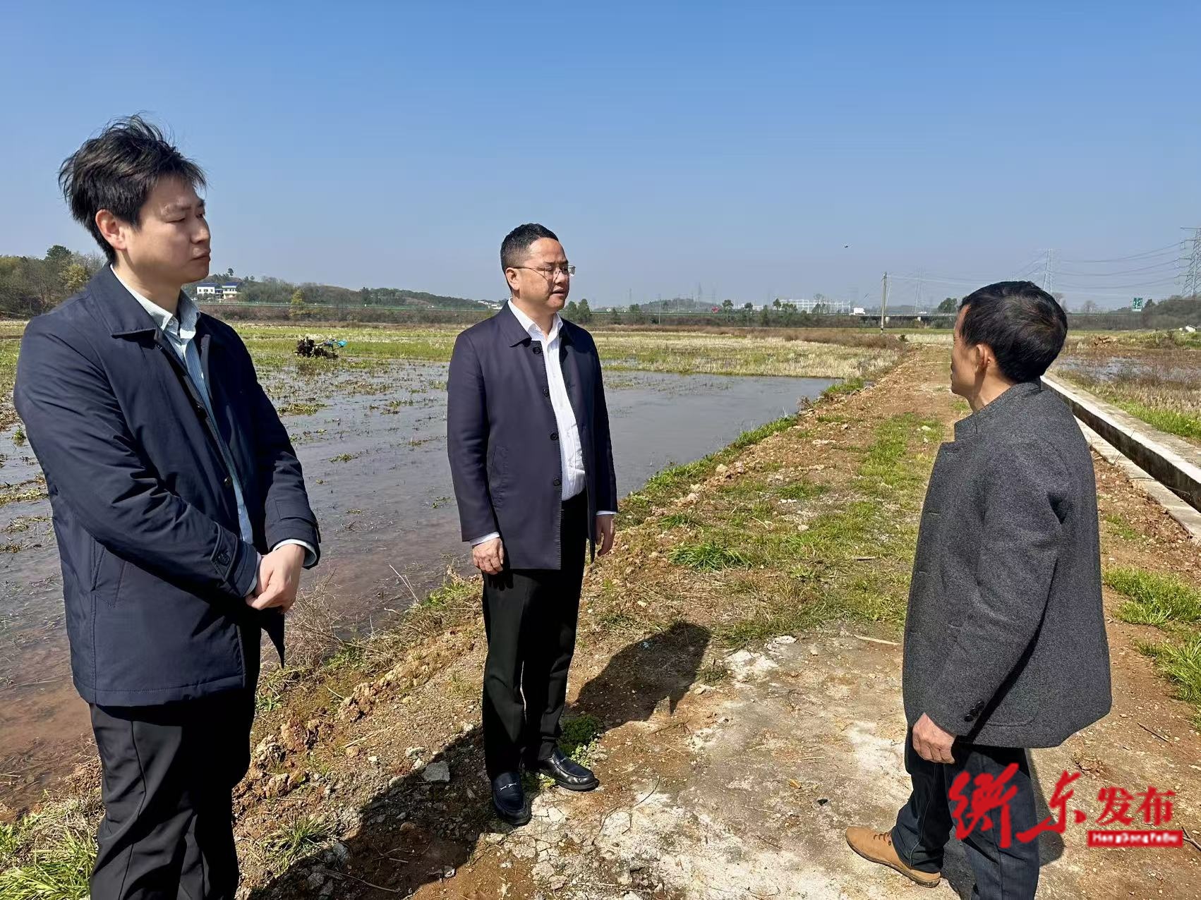 陈植华督导春耕生产工作：抢抓农时推进生产 扎牢粮食安全根基