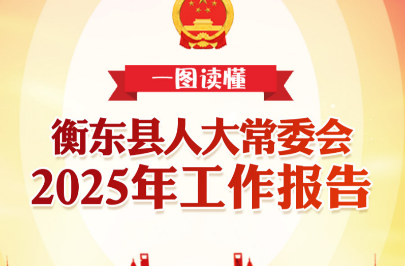 一图读懂 | 衡东县人大常委会工作报告