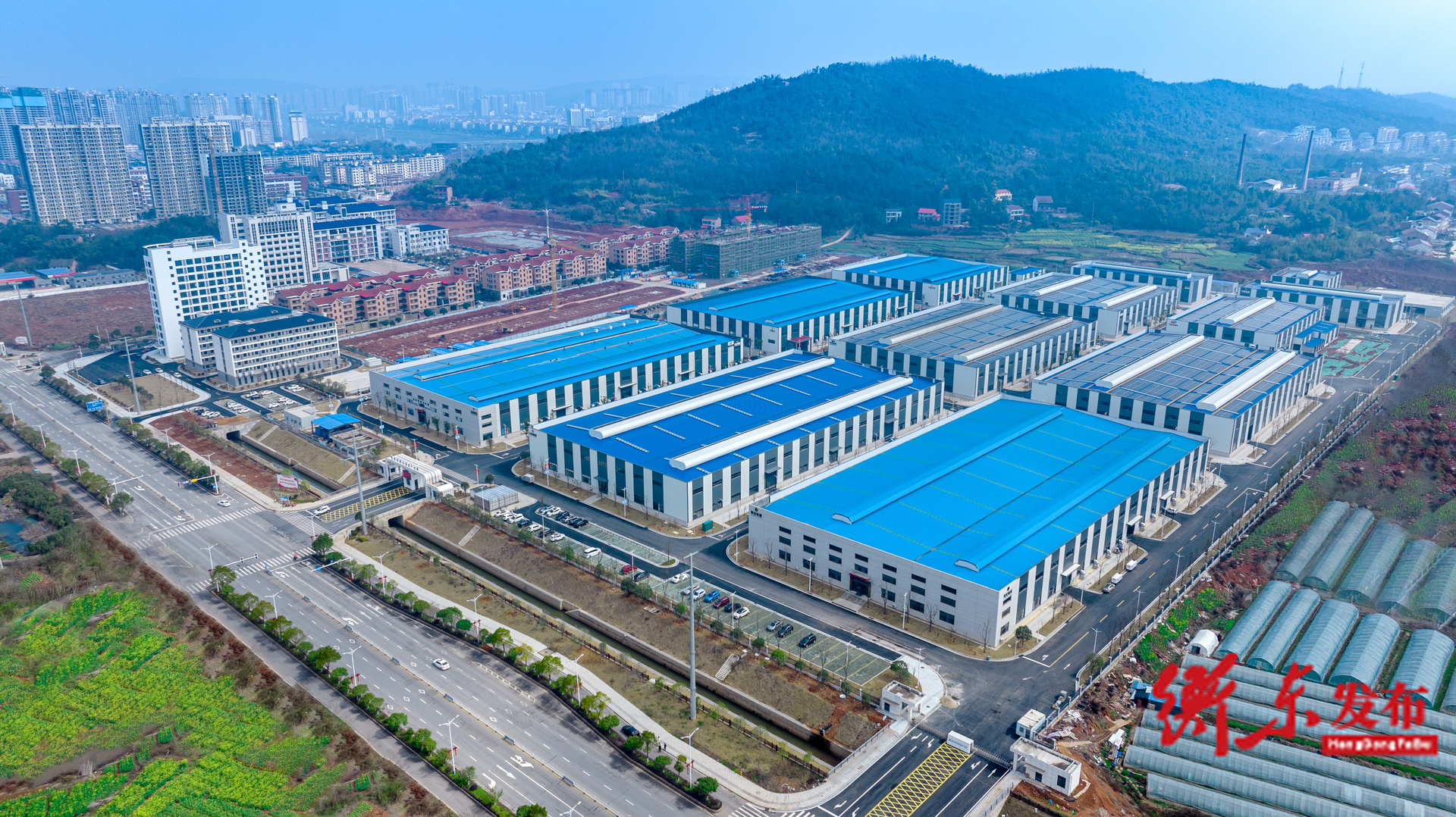 【政府工作报告解读·回顾2025】之三：改革创新纵深推进 发展动能持续激发