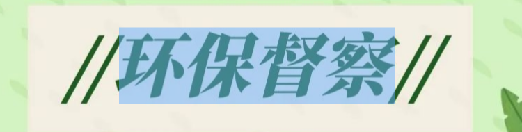 【专栏】生态环境保护督察“回头看”