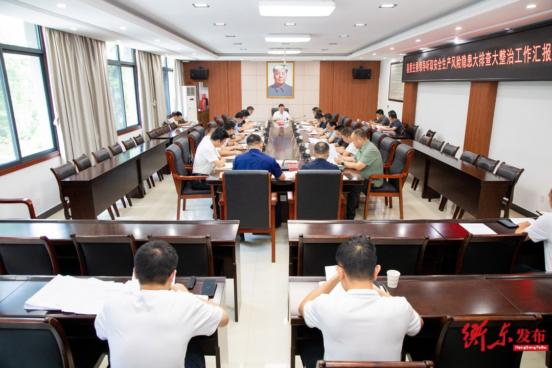 谭建华专题听取安全生产风险隐患大排查大整治工作汇报