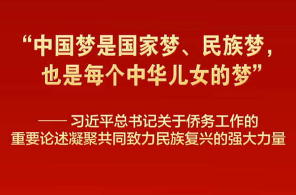 习近平总书记重要论述凝聚共同致力民族复兴强大力量