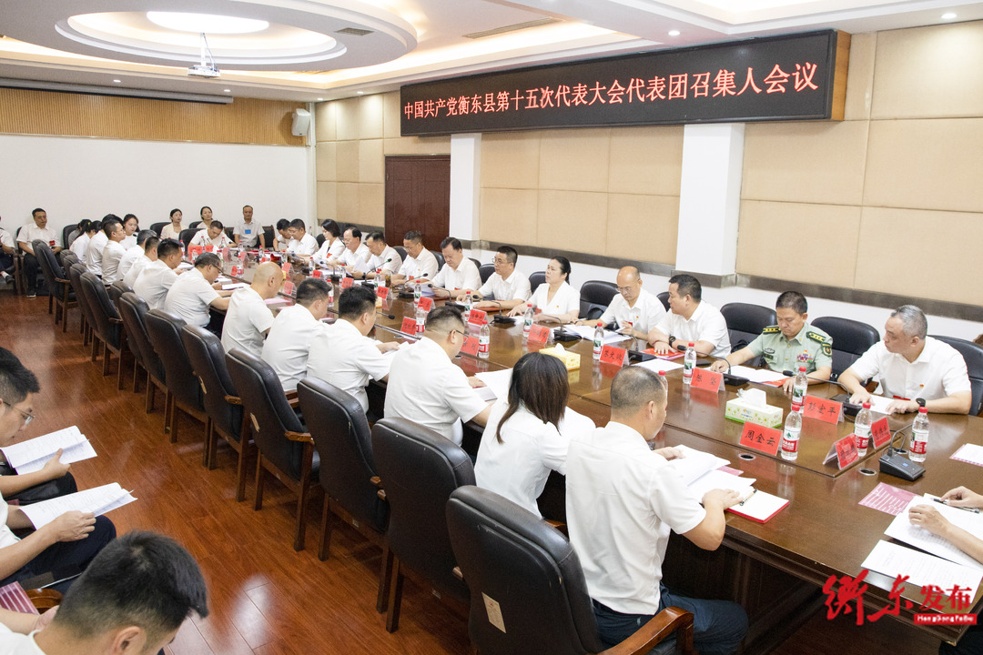 【聚焦党代会】谭建华主持召开中国共产党衡东县第十五次代表大会代表团召集人会议