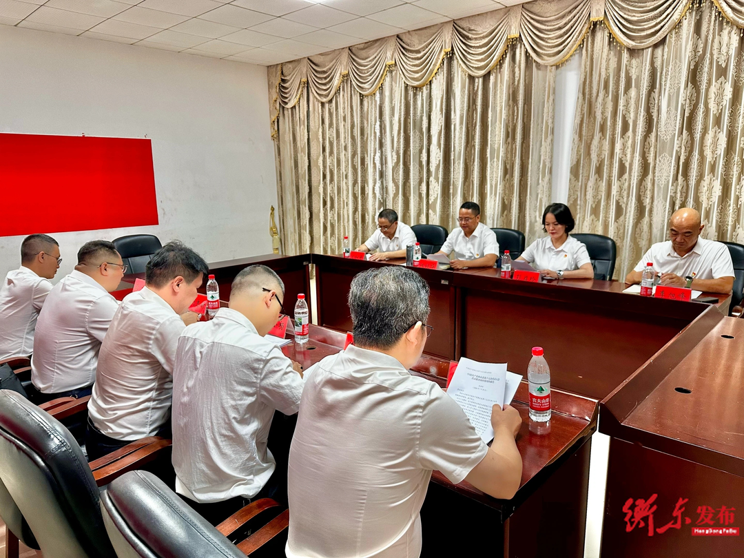 【聚焦党代会】中国共产党衡东县第十五次代表大会召开代表提案审查委员会会议