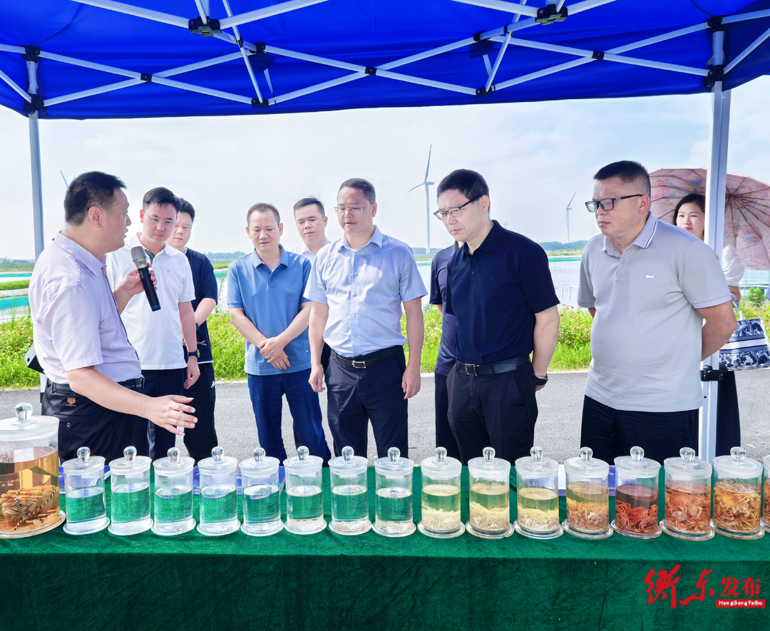 陈植华带队赴江苏、福建考察学习 借鉴先进经验助推衡东土菜产业高质量发展