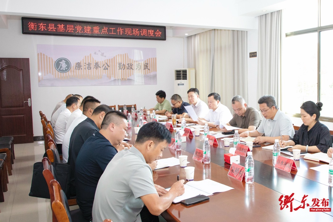 谭建华赴霞流镇调研“驻点连片”帮扶试点工作