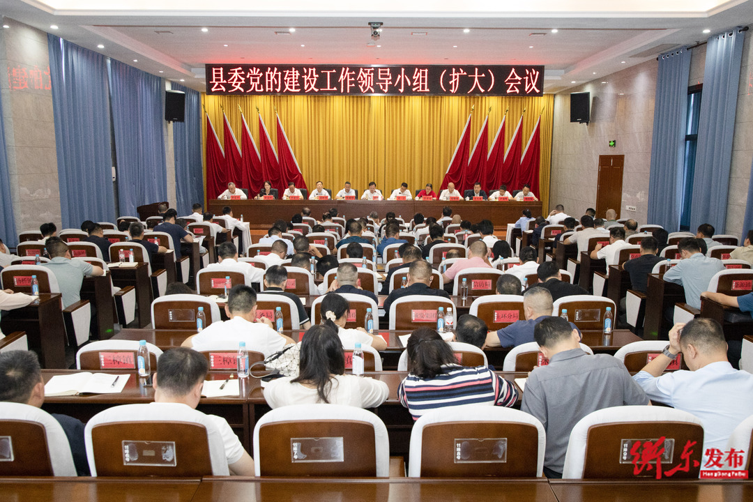 谭建华主持召开县委党的建设工作领导小组（扩大）会议