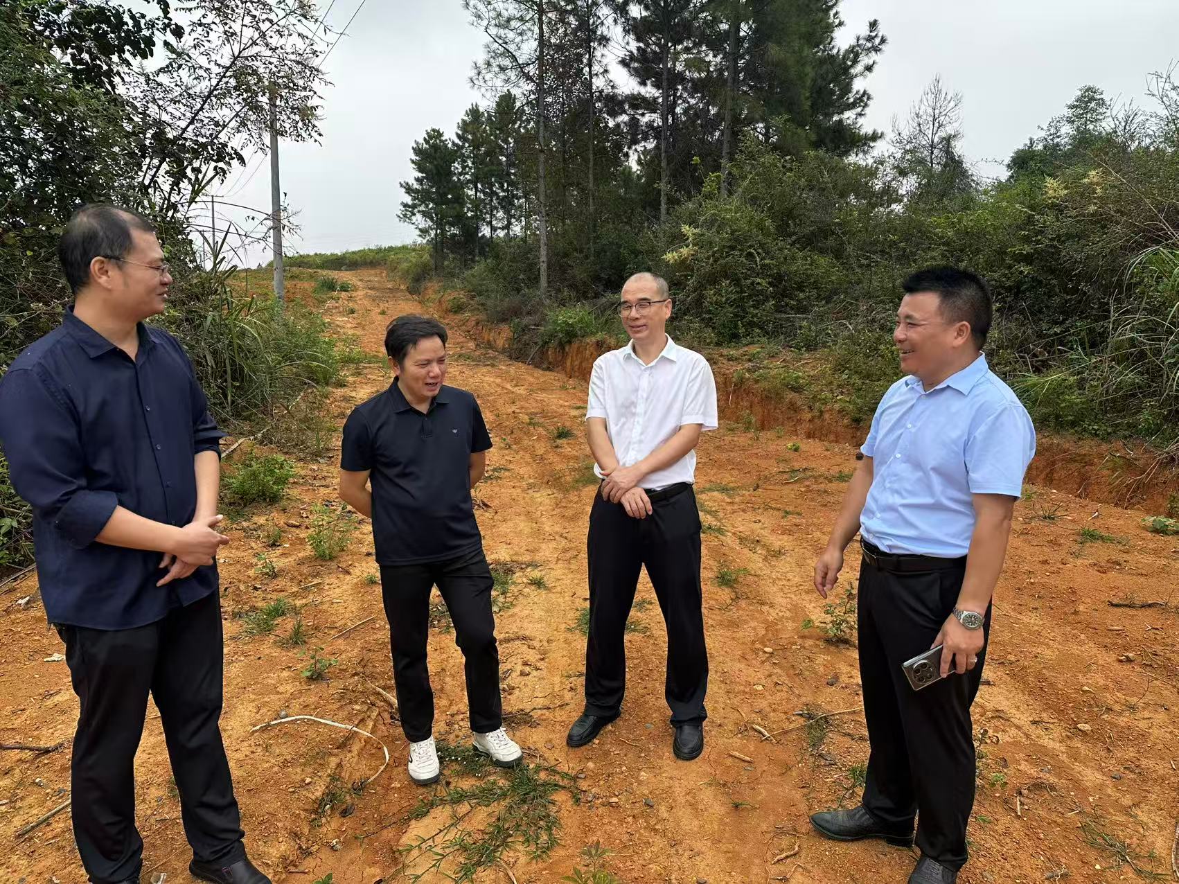 【提案办理进行时】县政协聚焦灌溉短板 破解杨林镇耕地缺水耕种难题