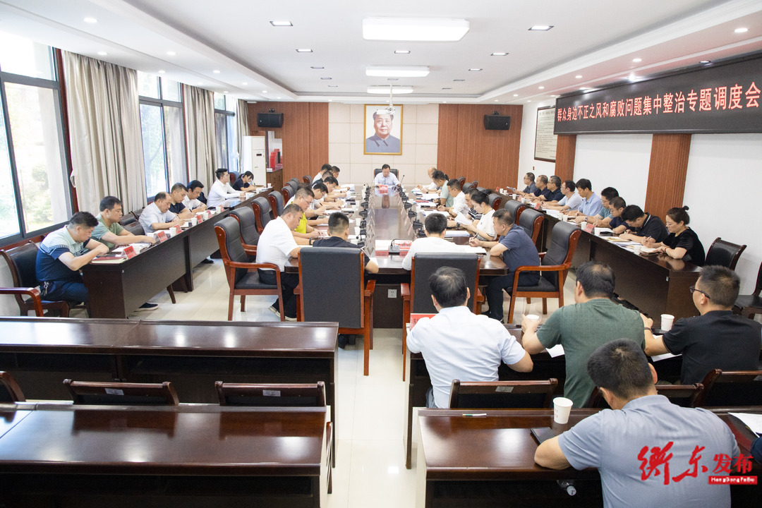 群众身边不正之风和腐败问题集中整治专题调度会召开  谭建华主持