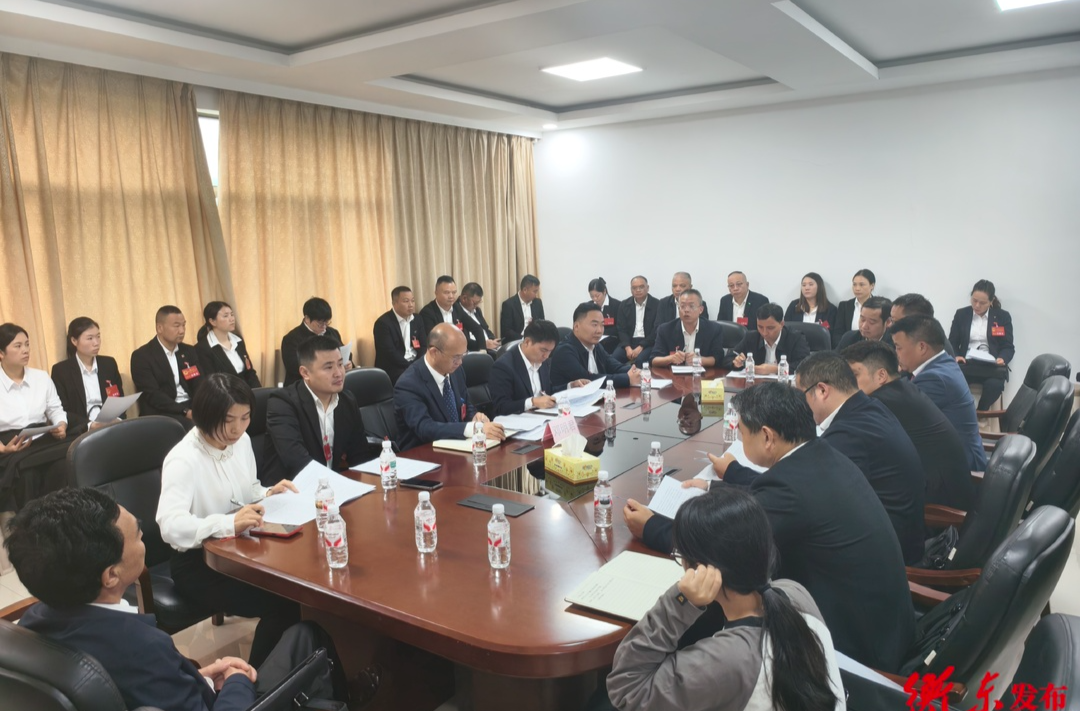 县领导参加县第十九届人民代表大会第一次会议分团讨论