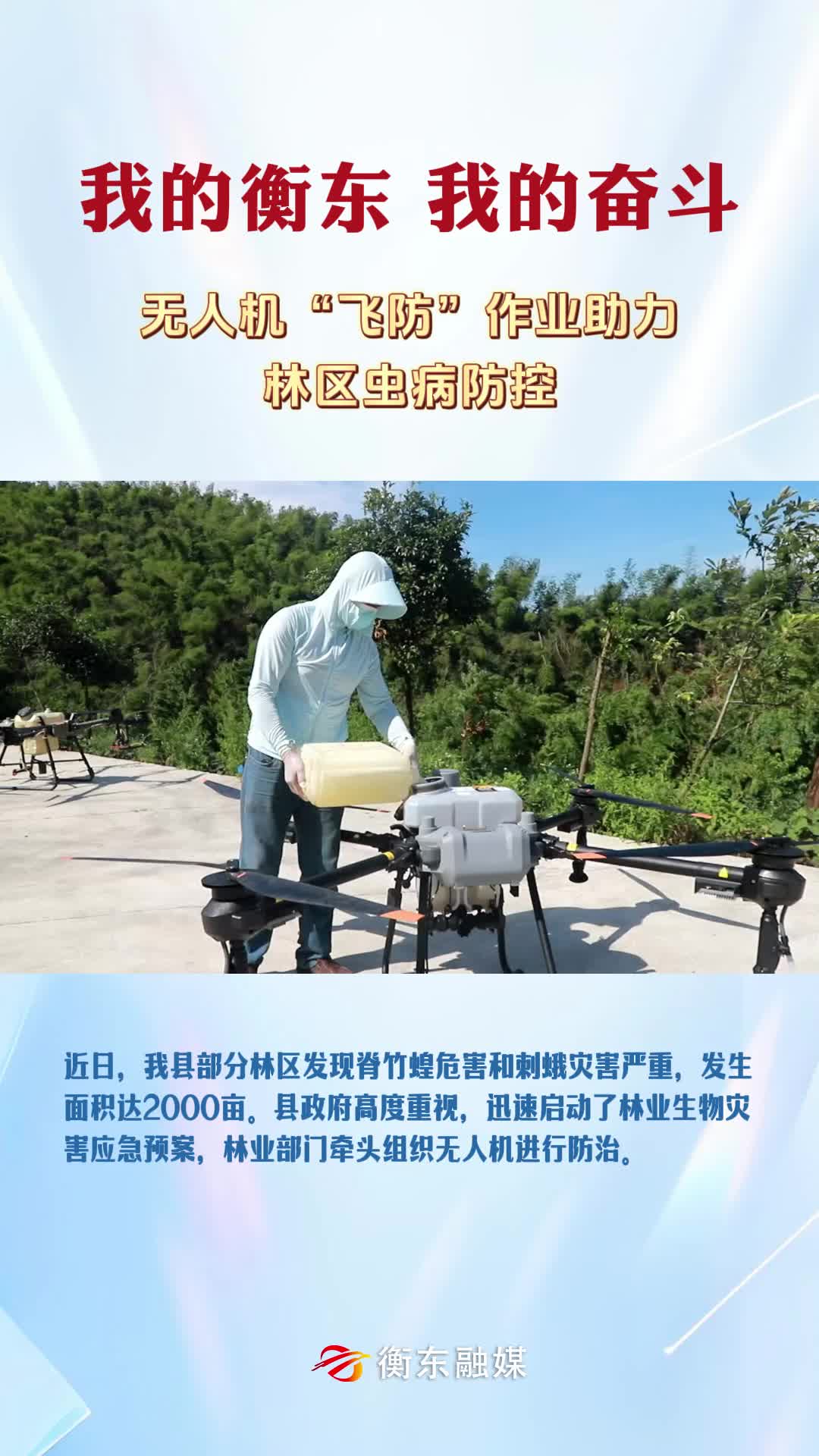 【我的衡东 我的奋斗】无人机“飞防”作业助力林区虫病防控