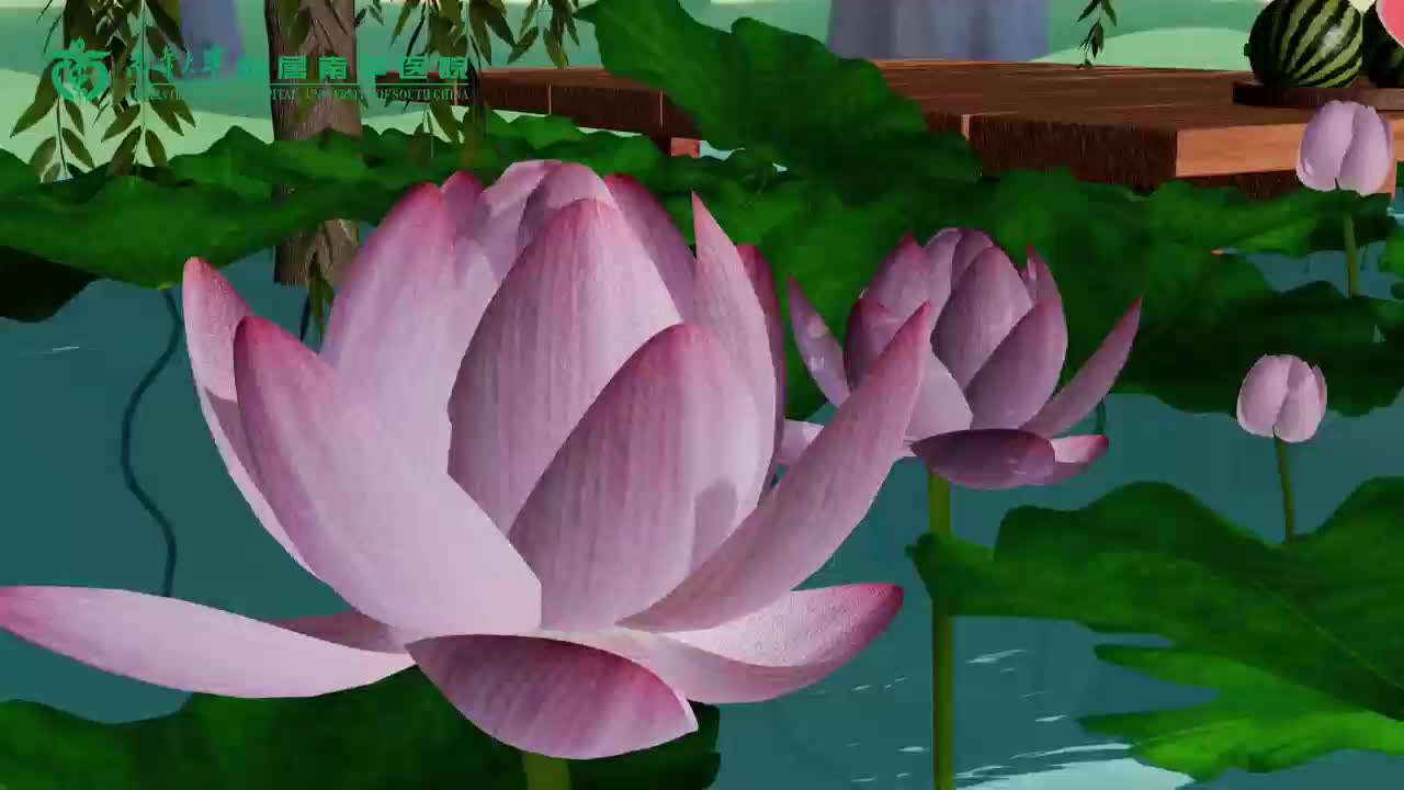 【視頻】醫(yī)依知時節(jié)/小暑倏至熱難擋，“核醫(yī)依”攜涼意送安康！